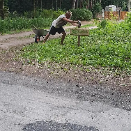 Nocleg ze śniadaniem De Boshut Wingst