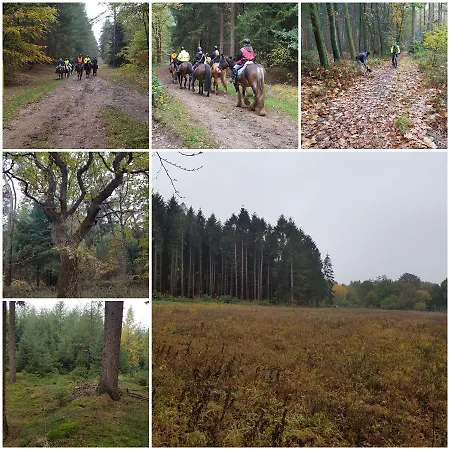 De Boshut *