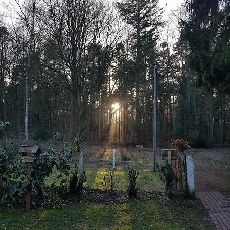 De Boshut Nocleg ze śniadaniem Wingst