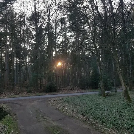 De Boshut Nocleg ze śniadaniem Wingst